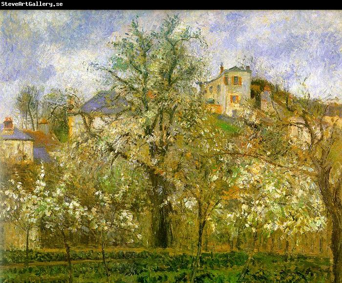 Camille Pissaro Kitchen Garden with Trees in Flower, Pontoise